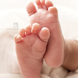 Newborn Photographer India