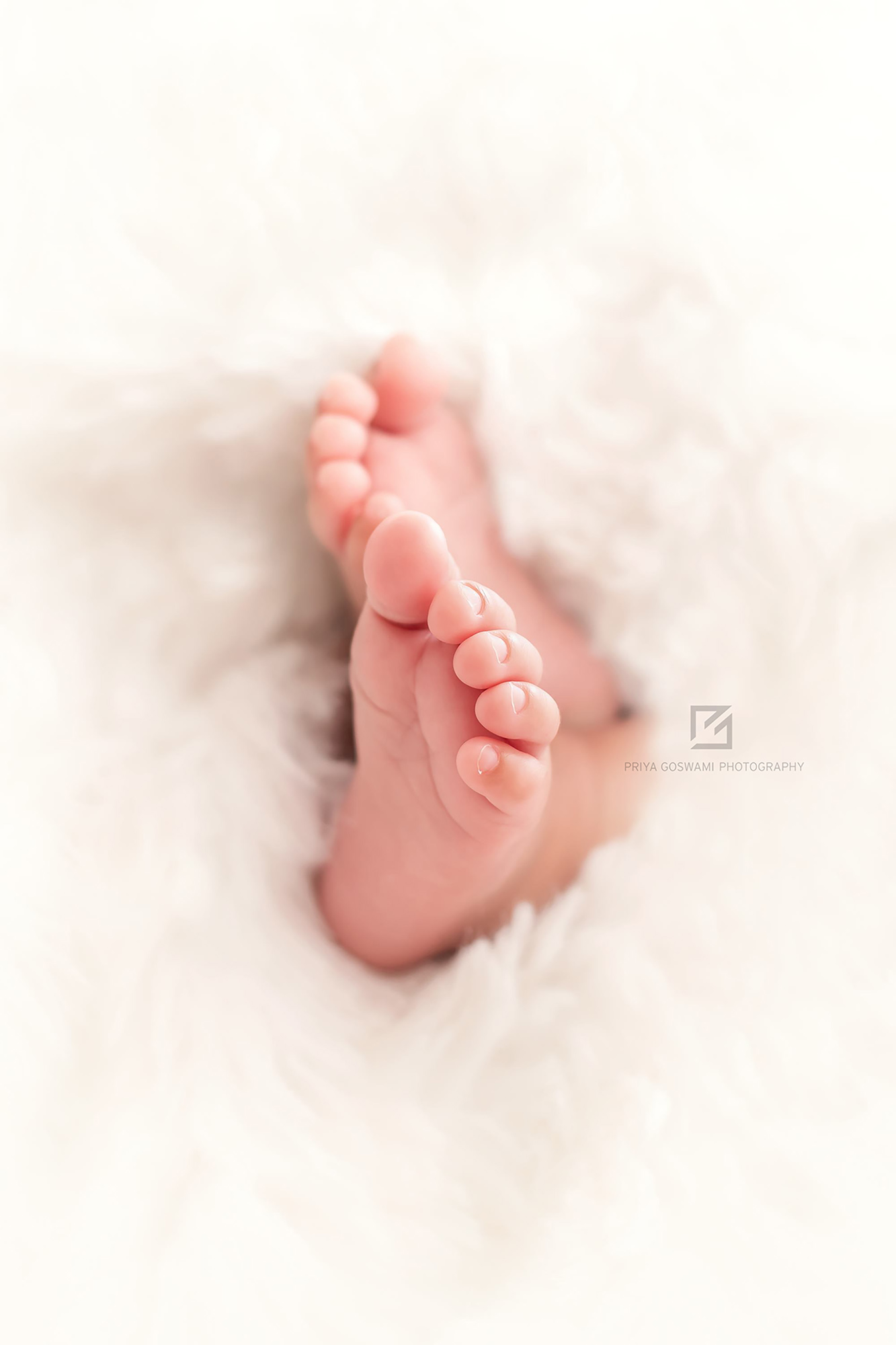 Priya Goswami Photography-Babies, Kids and Family Photographer