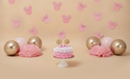 Cake Smash Theme - Minnie Mouse