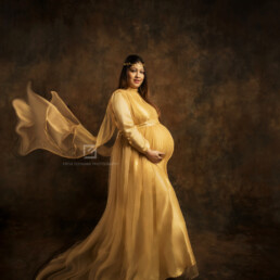 Fine Art Maternity Photography Flowing Gown Shot